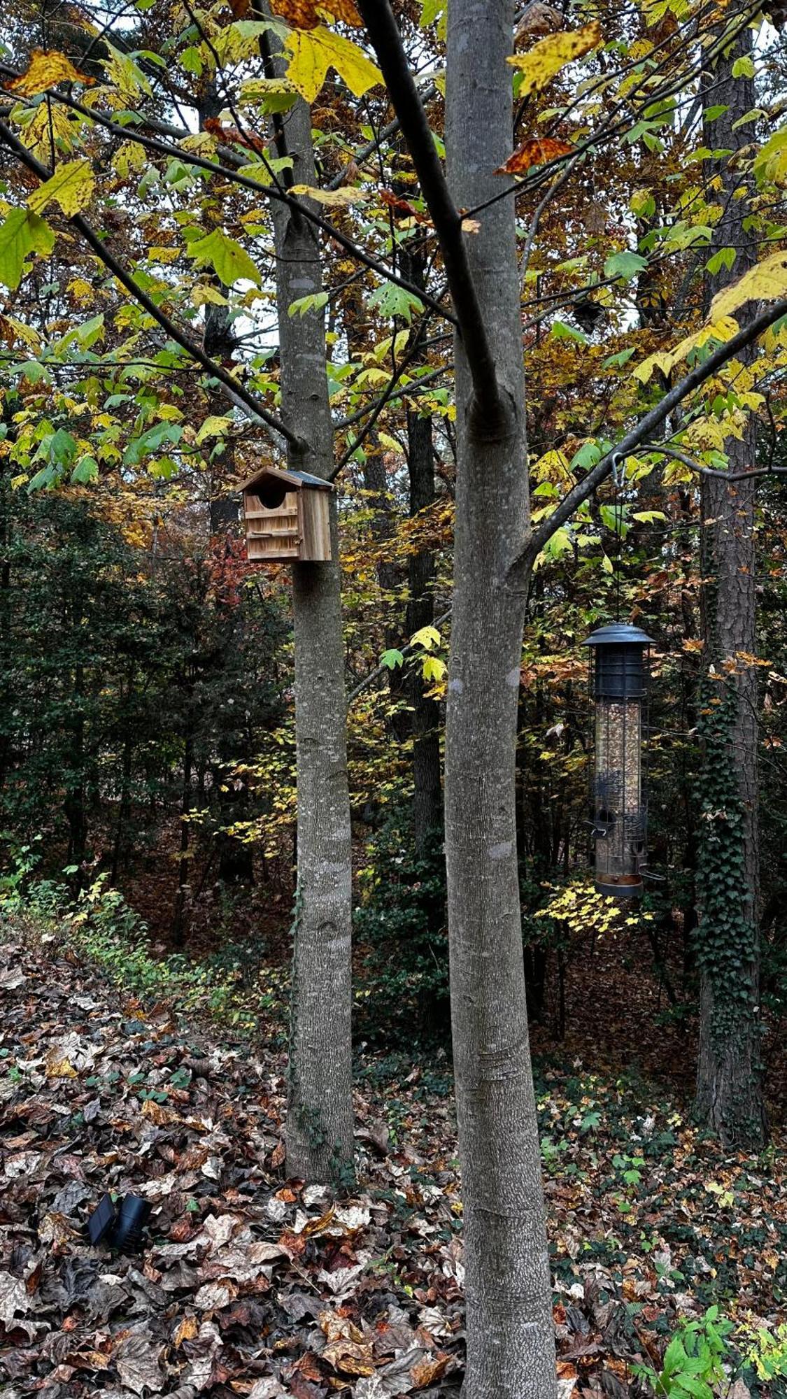 Appalachian Mountain Cabin-Updated-Private-Rafting On Ocoee River-Hiking-Waterfalls-Wifi-Pets Ok Murphy Extérieur photo