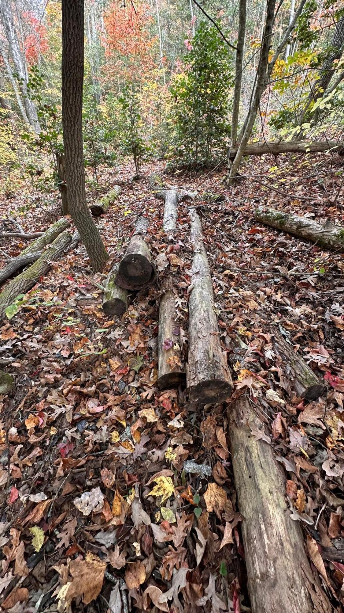Appalachian Mountain Cabin-Updated-Private-Rafting On Ocoee River-Hiking-Waterfalls-Wifi-Pets Ok Murphy Extérieur photo