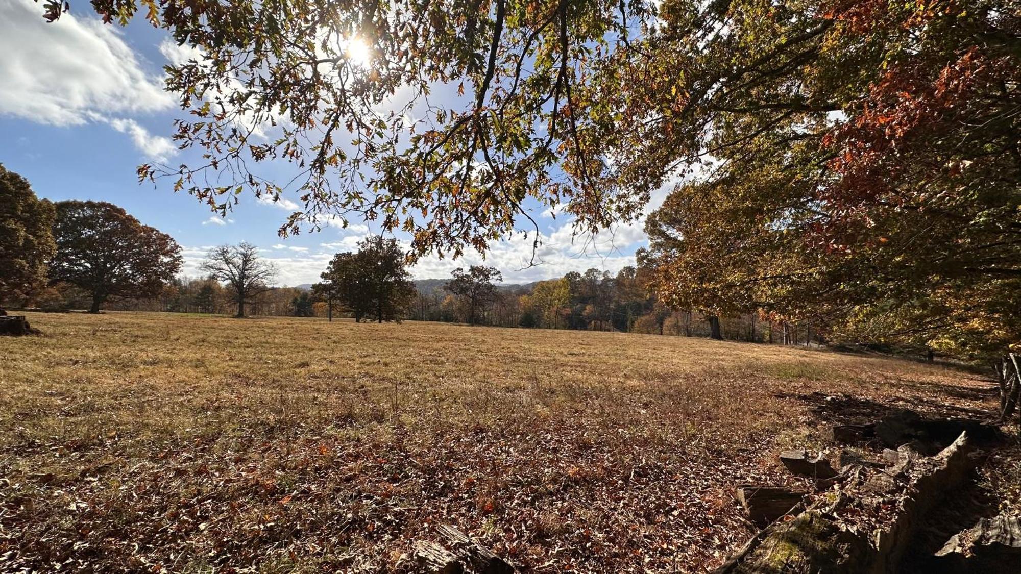 Appalachian Mountain Cabin-Updated-Private-Rafting On Ocoee River-Hiking-Waterfalls-Wifi-Pets Ok Murphy Extérieur photo