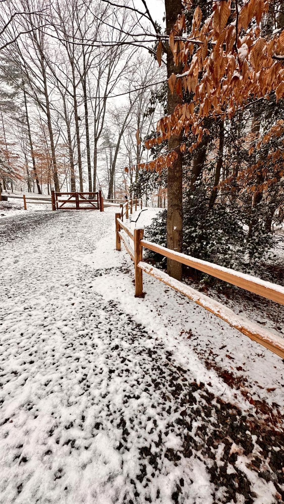 Appalachian Mountain Cabin-Updated-Private-Rafting On Ocoee River-Hiking-Waterfalls-Wifi-Pets Ok Murphy Extérieur photo